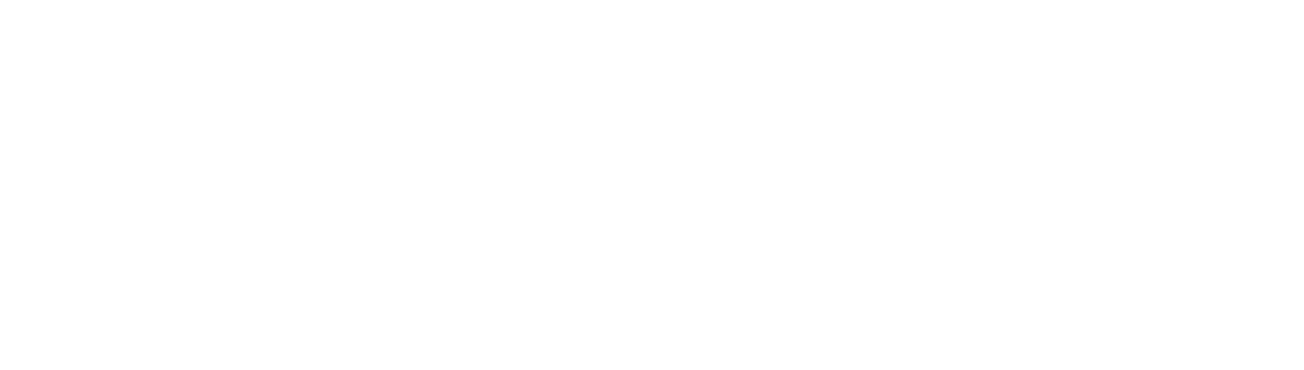 Streamline HiFi logo in white - space race era stylization